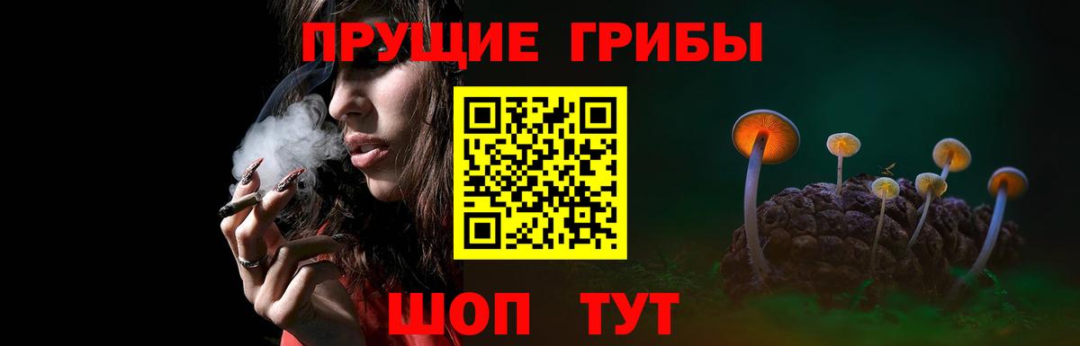 Галлюциногенные грибы ЛСД Лесозаводск